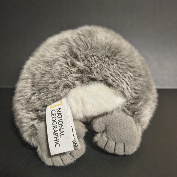 Lelly Venturelli National Geographic Koala 11” Plush - Picture 5 of 8